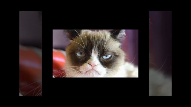 подпишись на макс