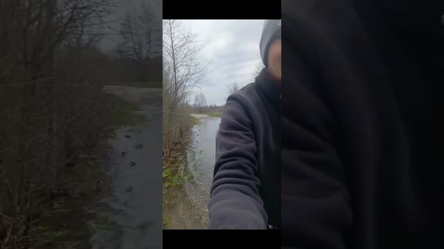 моя новая песня