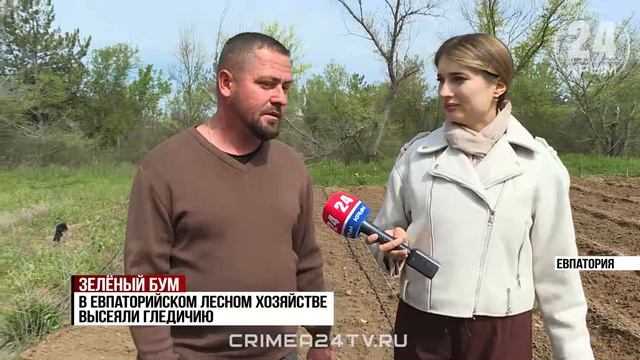 Леса на западе Крыма становятся больше. Как здесь создают новые зелёные зоны?