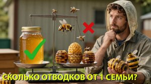 Сколько отводков можно сделать с одной семьи без вреда для медосбора? Отвечает Кашковский 🐝👨👦