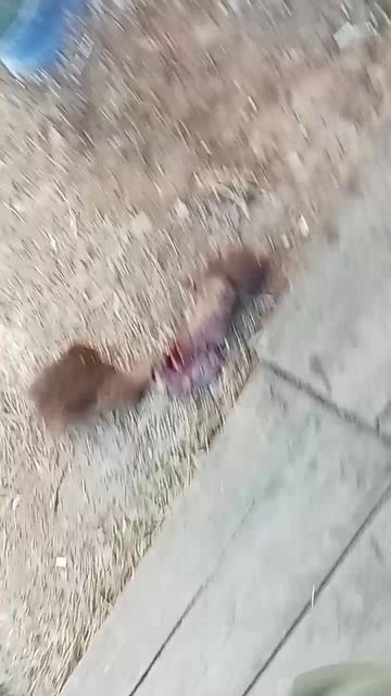 1000007500.mp4