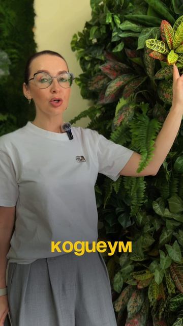 Искусственные фитостены. Подбор растений