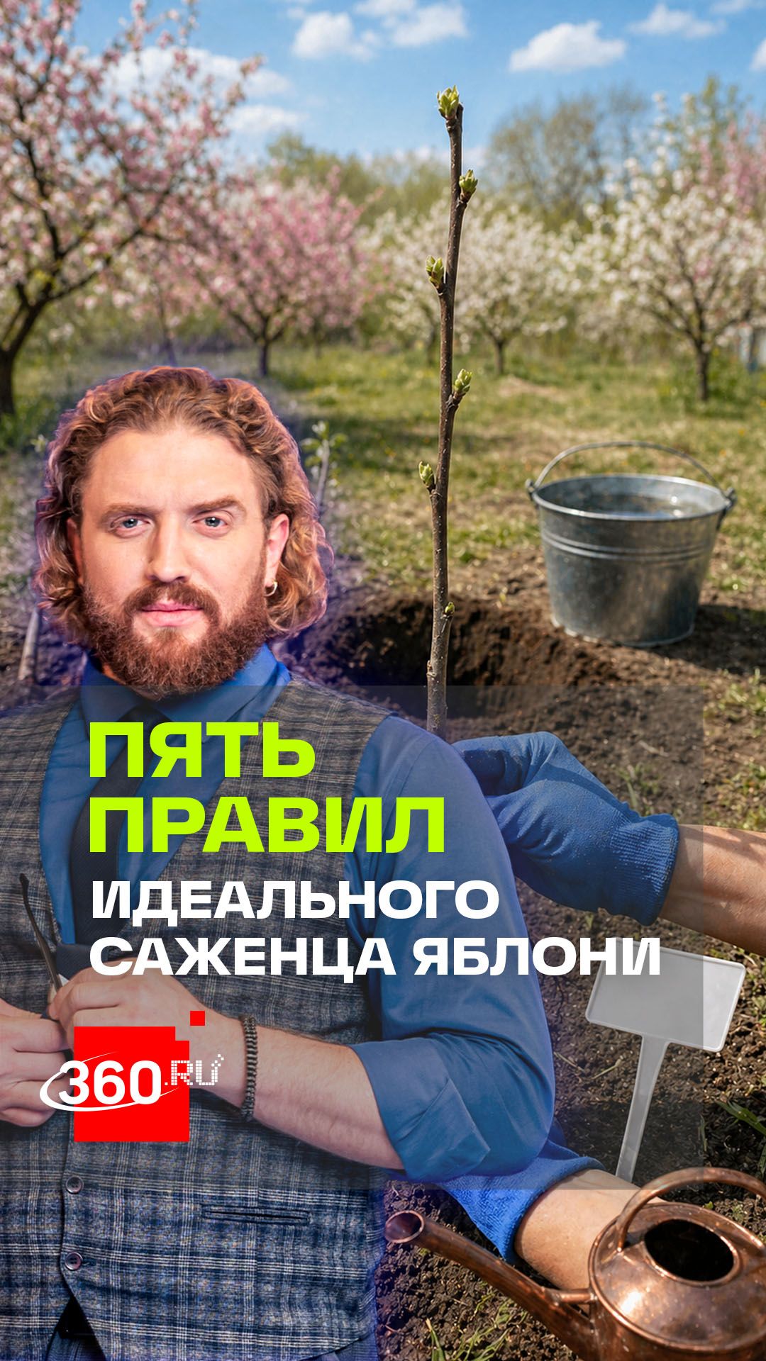 Как выбрать саженец яблони: 5 ценных лайфхаков и инструкция