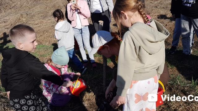 Посадка деревьев на роднике