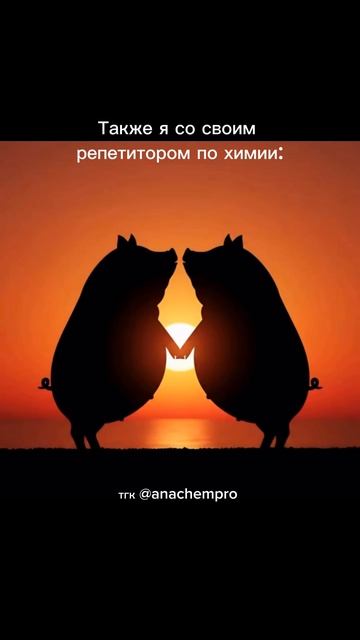 🧪Готовлю к ЕГЭ и ОГЭ по химии #shorts