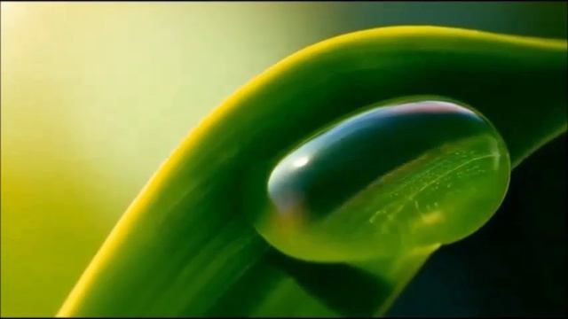 Из тени к солнцу: Два Лика - 7