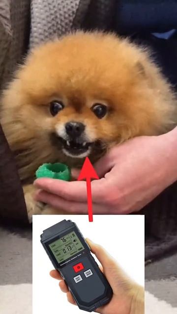 Иди своей дорогой