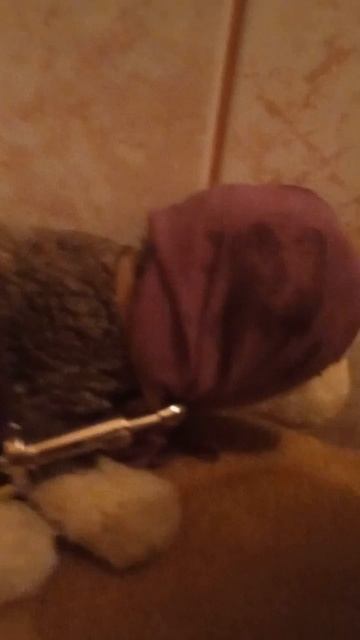 груминг (пдб)