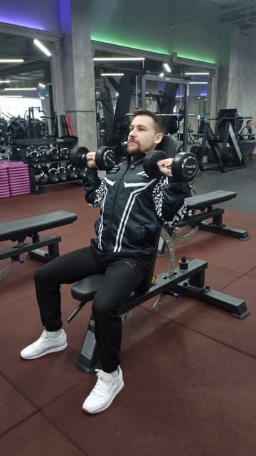 Жим гантелей сидя