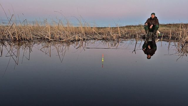 Так клюёт карась🎣 29.04.2026г.
