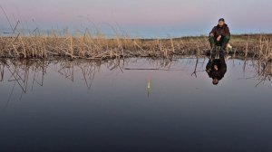 Так клюёт карась🎣 29.04.2026г.