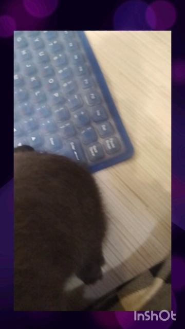 вагончик для бони