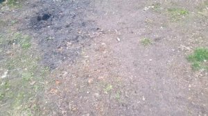 Вот такие новости...