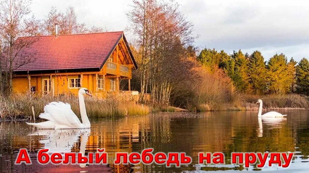 Лесоповал - А белый лебедь на пруду