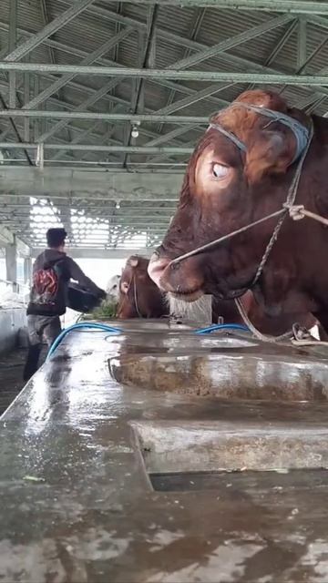 Когда сидишь и думаешь, что официант несёт твой заказ