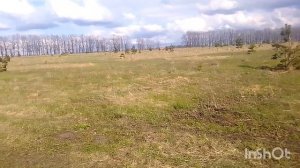Поход в Пушкари