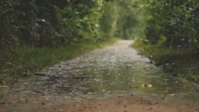 YIGLAYDI OSMON   UZBEK SONG 2026 