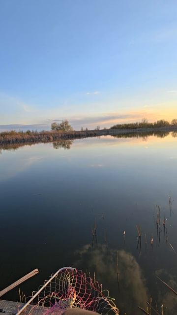 рыбалкаприрода.mp4