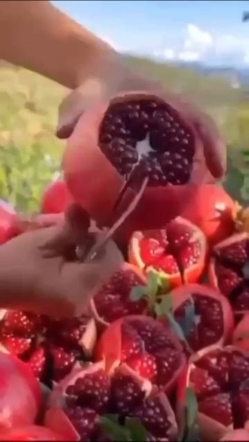 ПОЛЕЗНЫЕ СОВЕТЫ  #рецепты #обзор #постсовкусом #моибудни #кухня #посуда #женщинам #длядачи #длядома