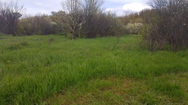 Погодка, опять дождик.