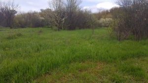 Погодка, опять дождик.