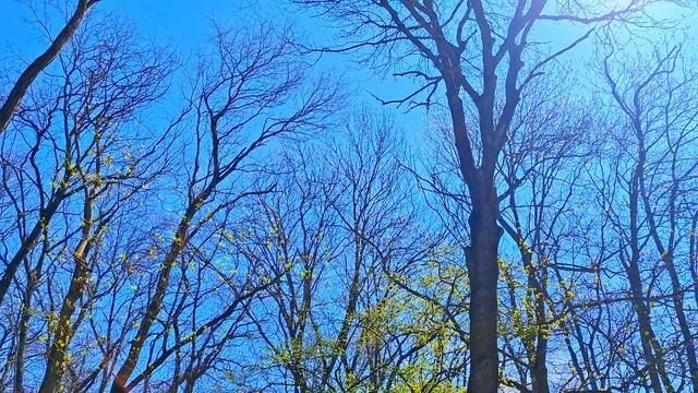 Ессентуки Курортный парк 30-04-2026