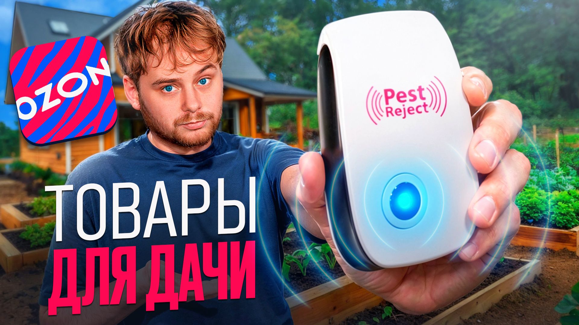 Селлер-обзор на товары для дачи и сада: 60 млн. делают продавцы на петрушке / Николай Ступников