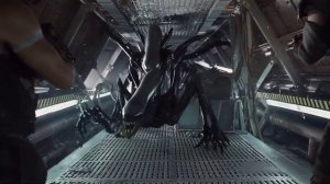 шапка и чужие