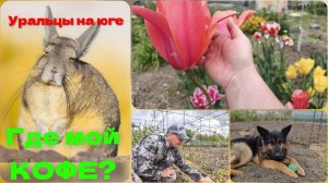 6 дней спустя...