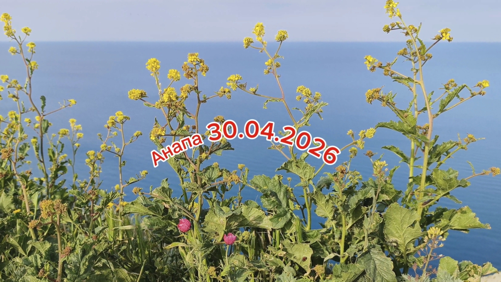 Анапа 30.04.2026 800 ступенек