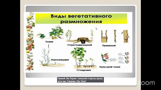 Уход за садом с Анастасией Борункова 30.4 14:00