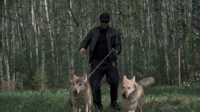 Islam Itlyashev - Vlyubennuy Volk - 720HD - [ VKlipe.org ]