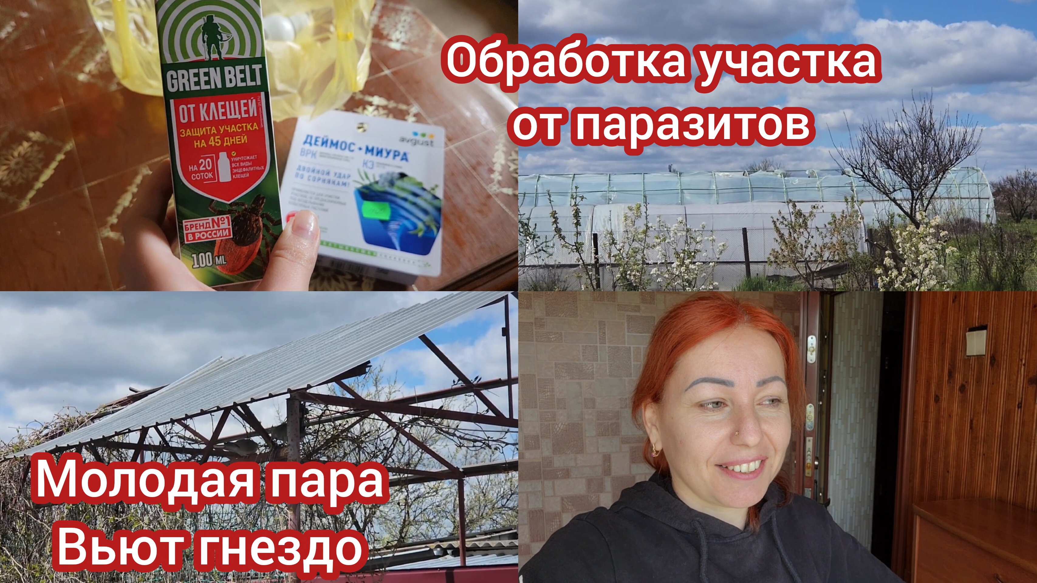 Чем обрабатываем участок от клещей и сорняков .#семьяизмариуполя