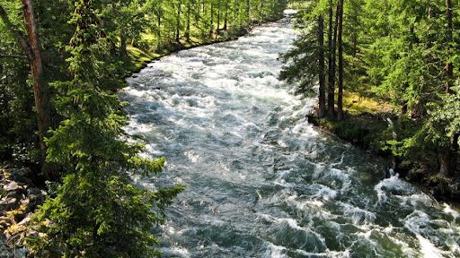 Тыгдым-тыгдым по Жомболоку 2008г.