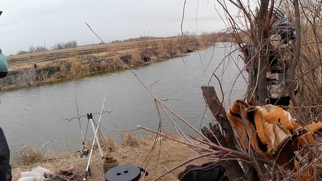 Рыбалка на сазана 20.03.2026г Астраханская область Икрянинский район