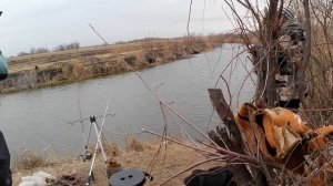 Рыбалка на сазана 20.03.2026г Астраханская область Икрянинский район