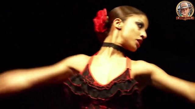 ATACA  LA ALEMANA!!! Владимир Ждамиров - Сумасшедшая любовь