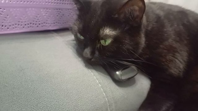 Неспокойно на душе