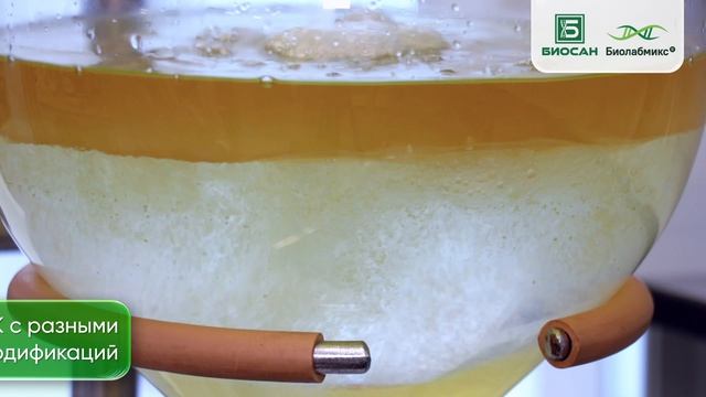 Биосан-Биолабмикс - производство мРНК компонентов и готовых наборов