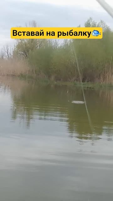 #рыбалка #fishing #рыбалканафидер #астраханьрыбалка #астраханскаяобласть #сапкаяк