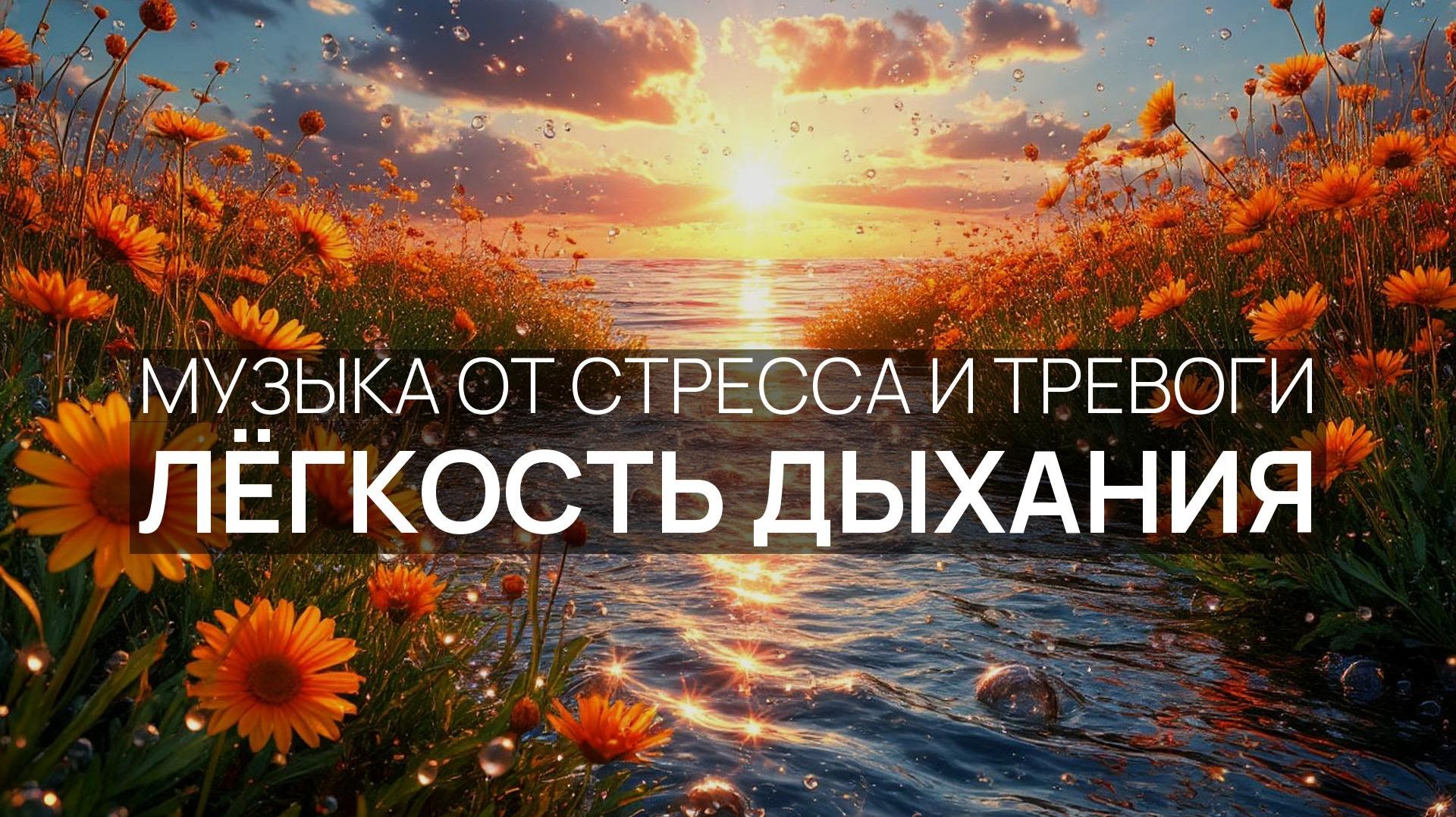 Лёгкость дыхания ☀️ Волны в тумане 🧘 Серебристый горизонт ✨
