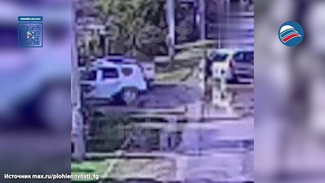 Школьник стал жертвой нападения собаки в Татарстане