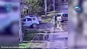 Школьник стал жертвой нападения собаки в Татарстане