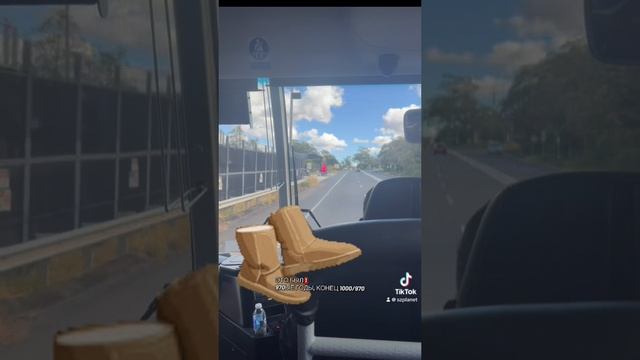 Как появились Австралийские Уги. Обувь UGG