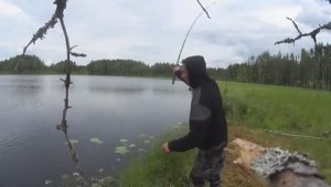РЫБАЛКА НА СПИНИНГ! ЗАШЁЛ НА КАРЕЛЬСКОЕ ЛЕСНОЕ ОЗЕРО И ТУТ ВСЁ НАЧАЛОСЬ!!!
