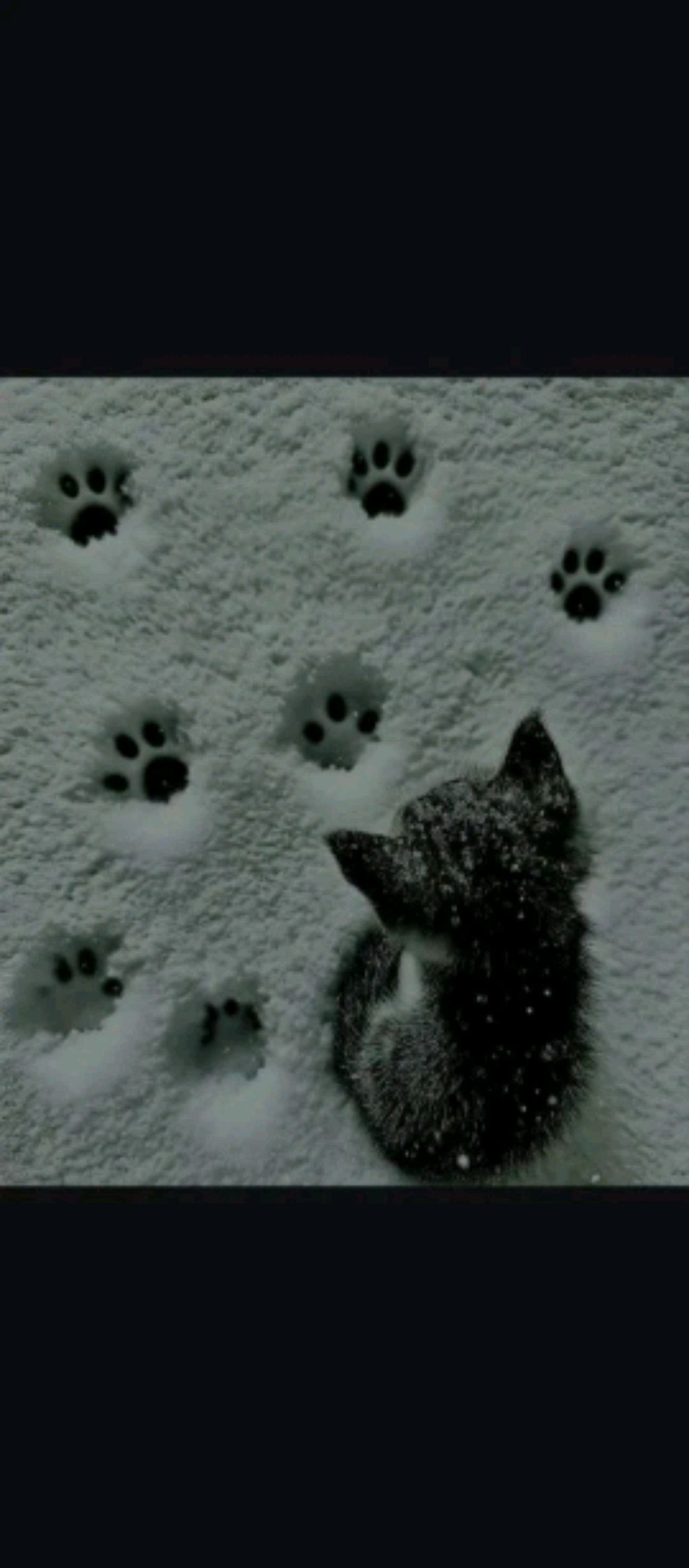 я не хотела но меня заставили 👌🏻