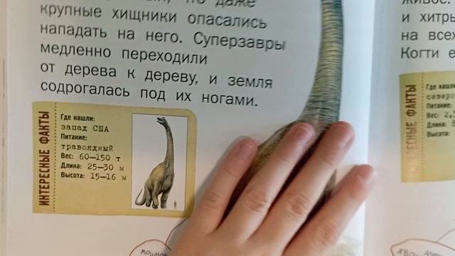 рассказываю про суперзавра и аллозавра