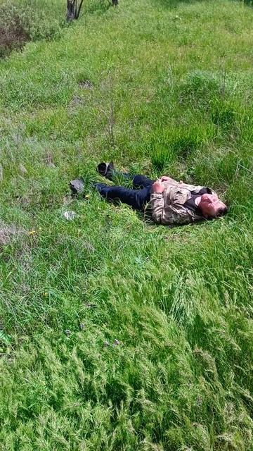 Вот он  молочай!