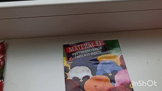 А дома новые напасти😒Архив