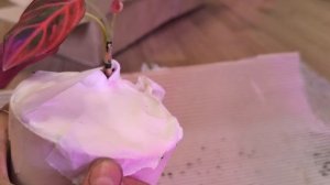 Посылка по обмену. +100500 ХОЙ.